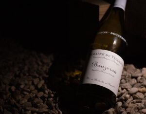 Bouzeron wine from Domaine de Villaine