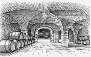 The black and white drawing of Cyprien Arluad's Scritch Cellar