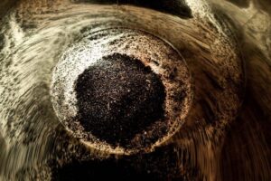 The vinification process in the tank at Domaine Hubert Lignier.