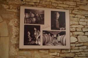 a picture of domaine michelot's history their members